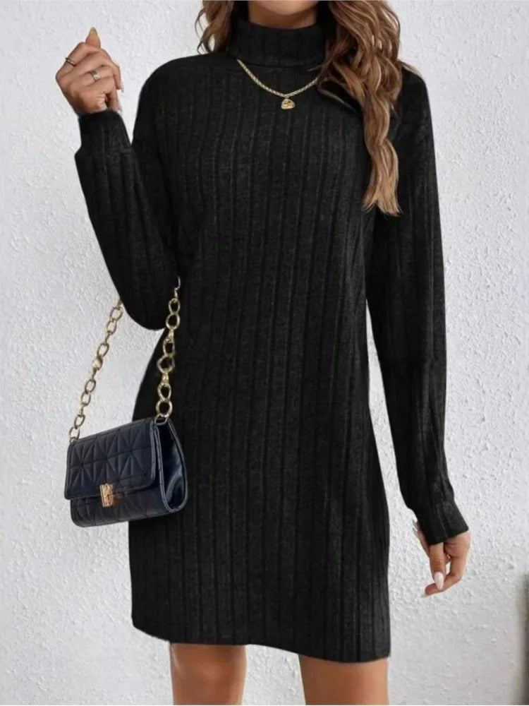 Cozy Knit Turtleneck Dress