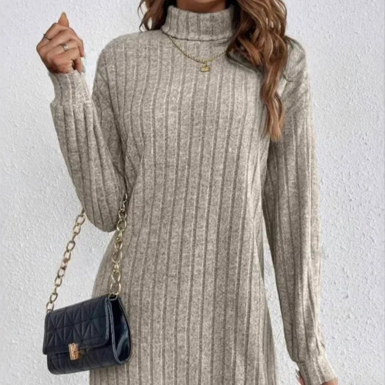 Cozy Knit Turtleneck Dress
