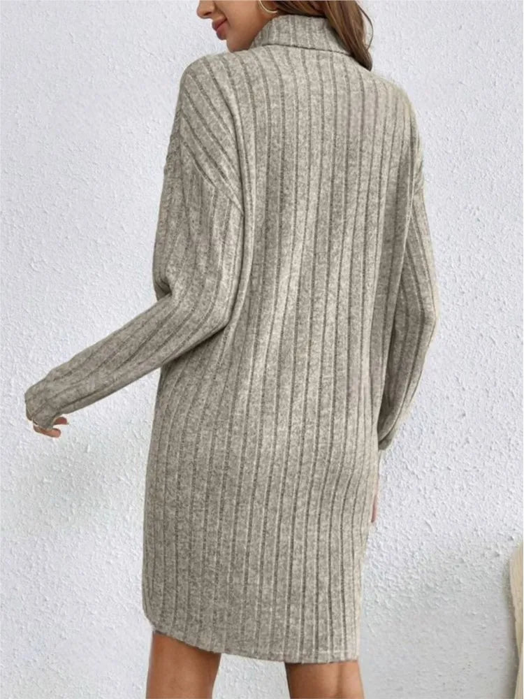 Cozy Knit Turtleneck Dress
