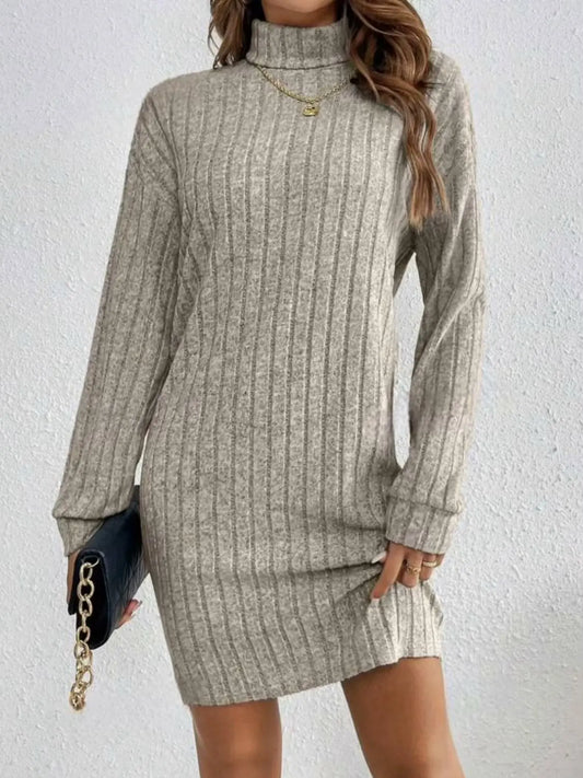 Cozy Knit Turtleneck Dress